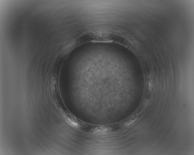 X0000060740235200511101116