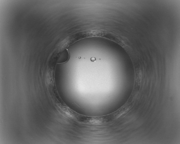 X0000060740236200511101116