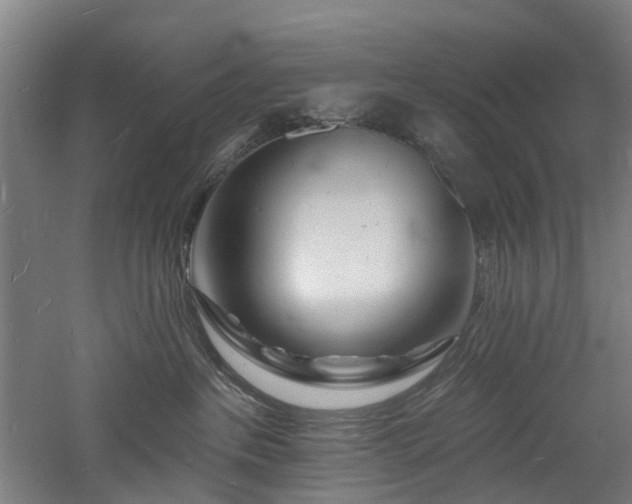 X0000060740237200511101116