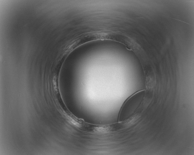 X0000060740238200511101116