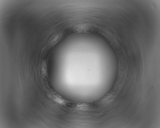 X0000060740240200511101116