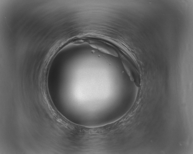 X0000060740241200511101115