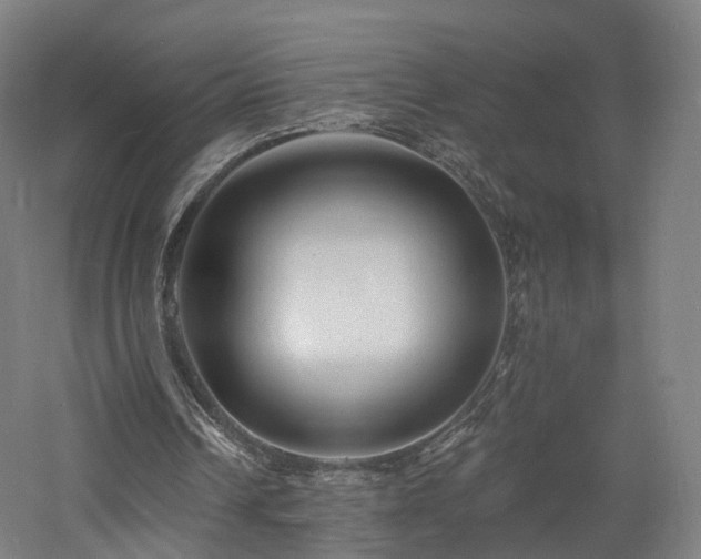 X0000060740242200511101115