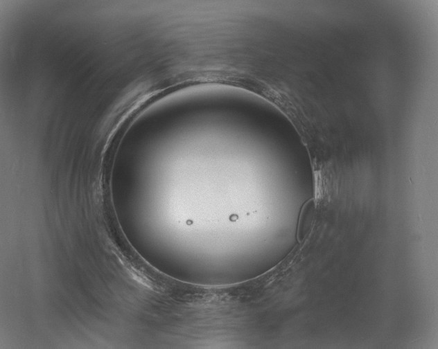 X0000060740243200511101115