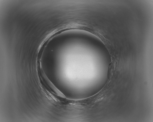 X0000060740244200511101115