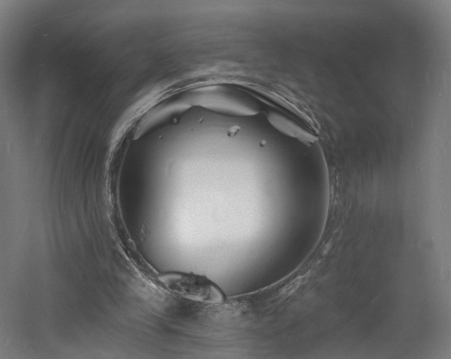 X0000060740245200511101115