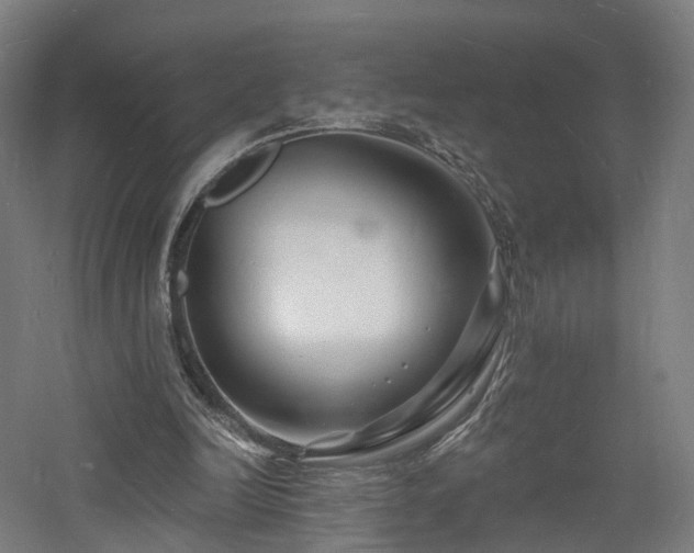 X0000060740246200511101115