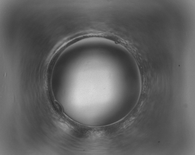 X0000060740247200511101115