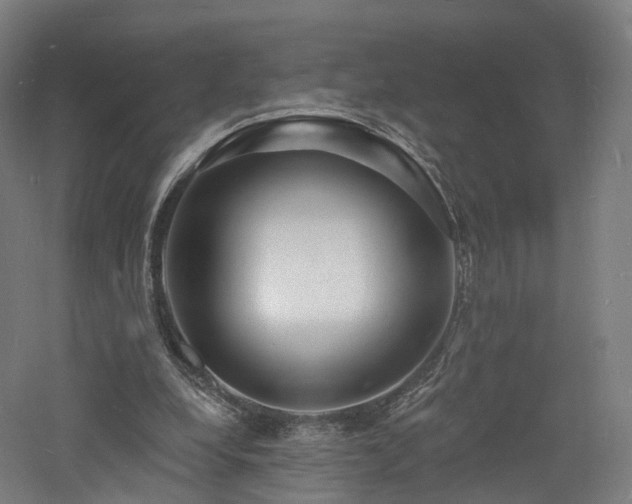 X0000060740248200511101115