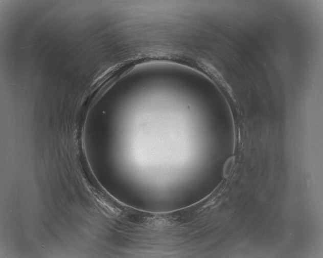 X0000060740249200511101115