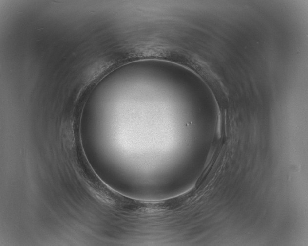 X0000060740250200511101115