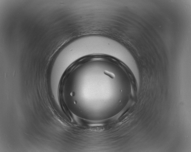 X0000060740251200511101115