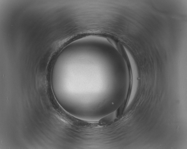 X0000060740252200511101115