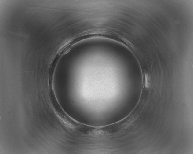 X0000060740253200511101115