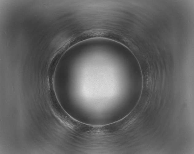 X0000060740254200511101115