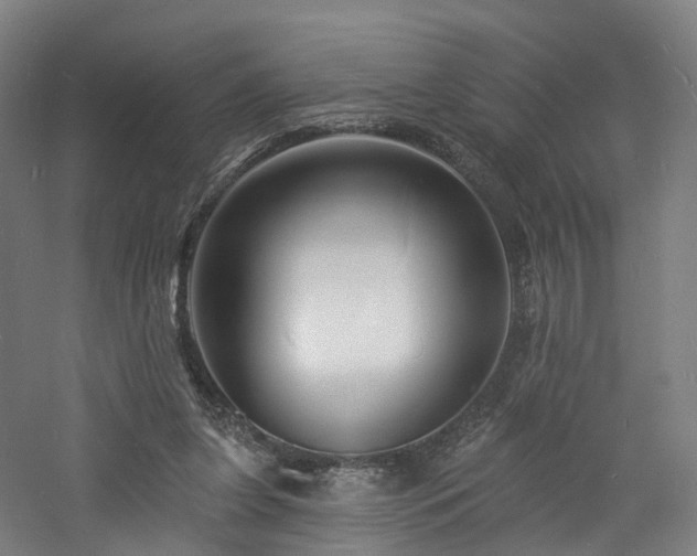 X0000060740255200511101115