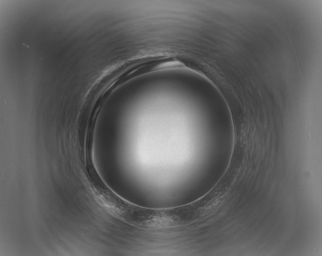 X0000060740256200511101115