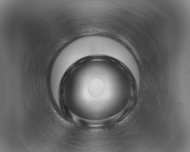 X0000060740257200511101115