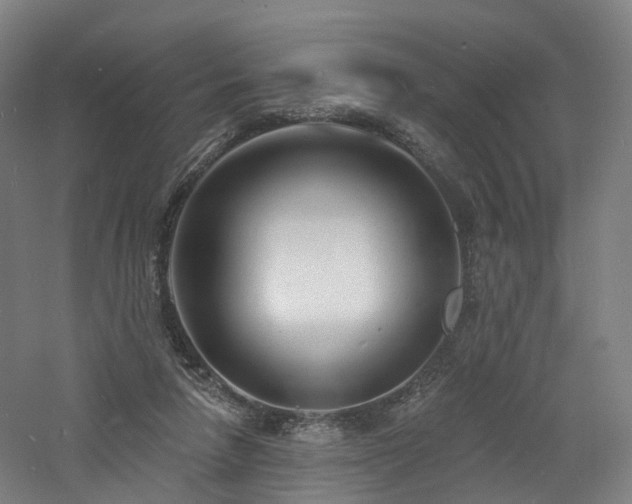 X0000060740258200511101115