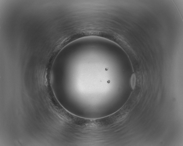 X0000060740259200511101115