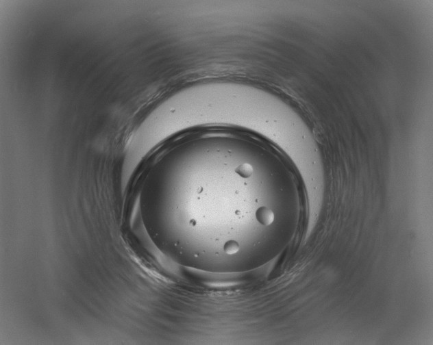 X0000060740261200511101116