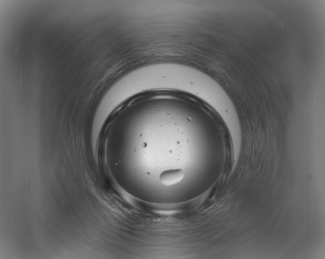 X0000060740262200511101116