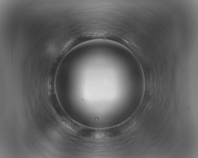 X0000060740264200511101116