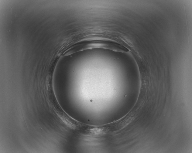 X0000060740265200511101116