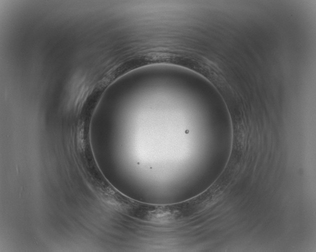 X0000060740267200511101116