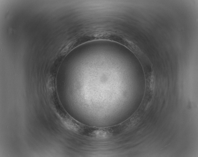 X0000060740272200511101116