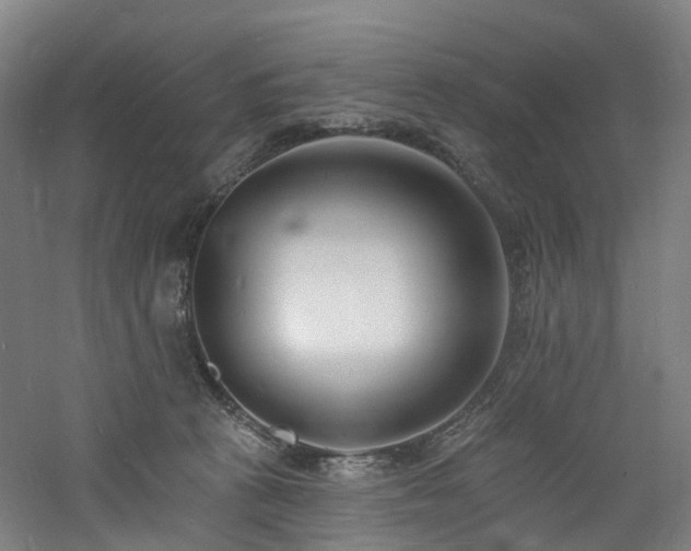 X0000060740273200511101116