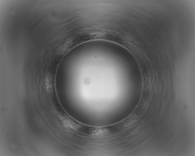 X0000060740274200511101116