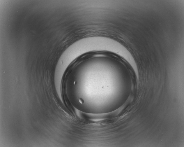 X0000060740277200511101116