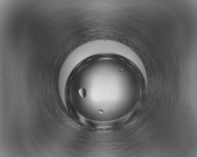 X0000060740278200511101116