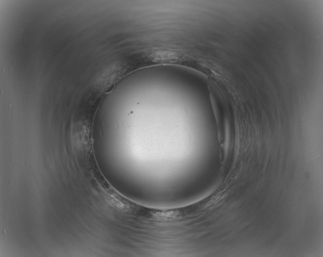 X0000060740281200511101116