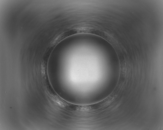 X0000060740282200511101116