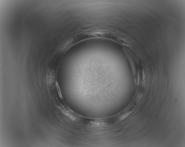 X0000060740284200511101116