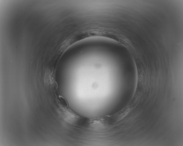 X0000060740285200511101116