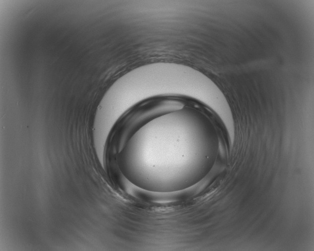 X0000060740287200511101116