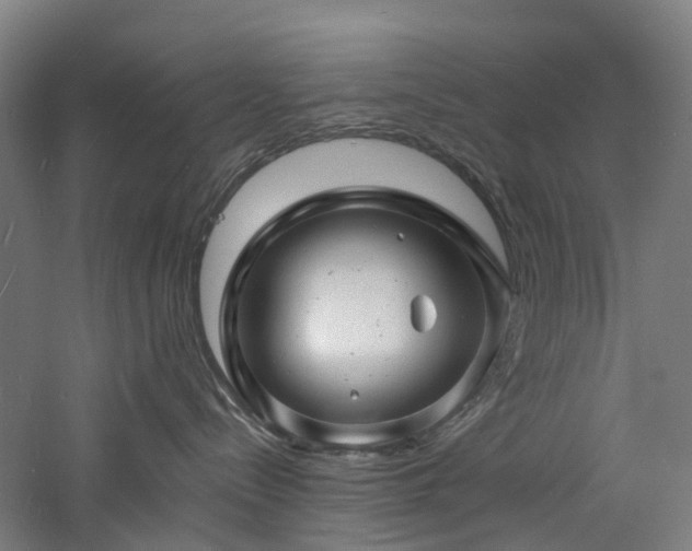 X0000060740288200511101116