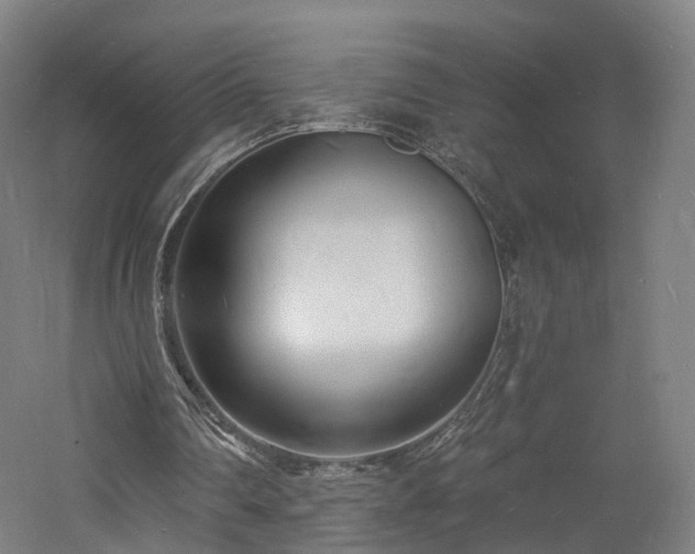 X0000060740290200511101115