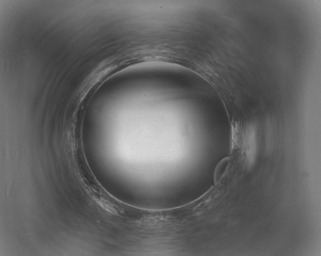 X0000060740291200511101115