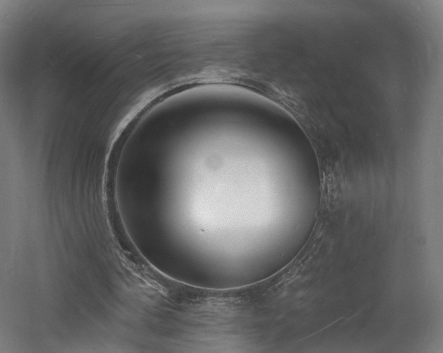 X0000060740292200511101115