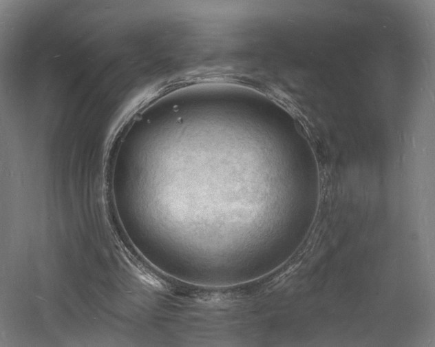 X0000060740293200511101115