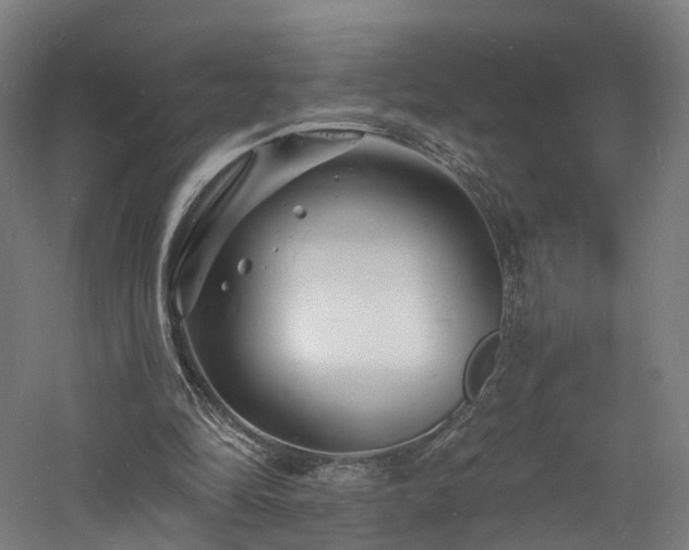 X0000060740294200511101115