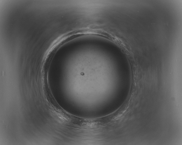 X0000060740295200511101115