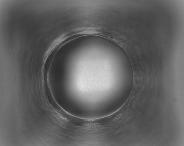 X0000060740296200511101115