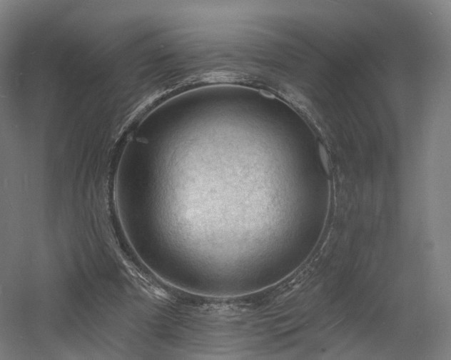 X0000060740297200511101115