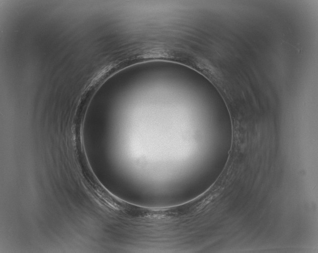 X0000060740298200511101115