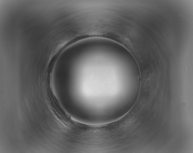 X0000060740299200511101115